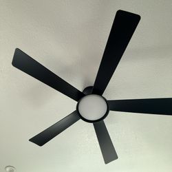 Hampton Bay Fan #2