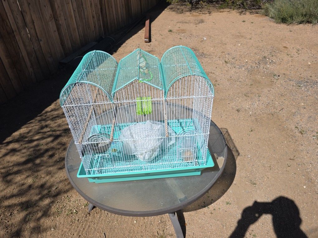 Bird Cage