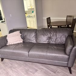 Leather Couch and Chair