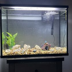 40 Gal Fish Tank 