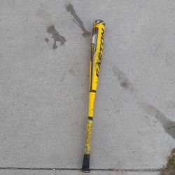 Easton Baseball Bat
