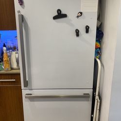 Hisense Refrigerator 