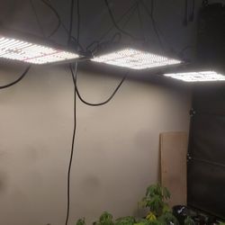 450 W Led Grow Light