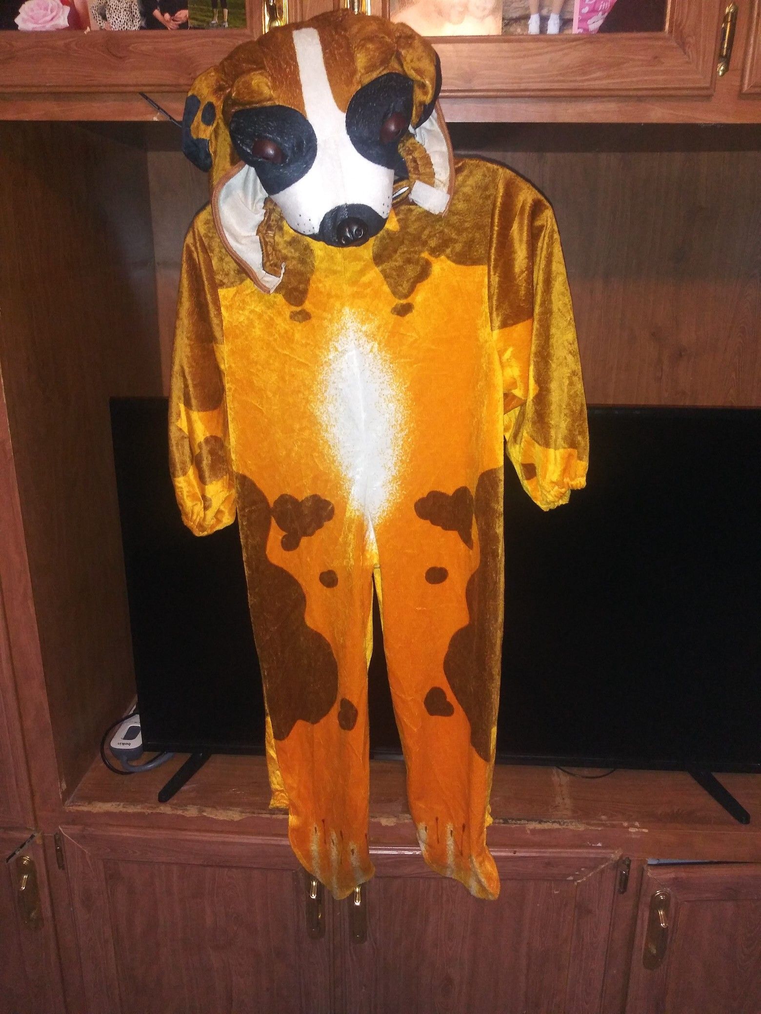 Boys Dog Halloween Costume