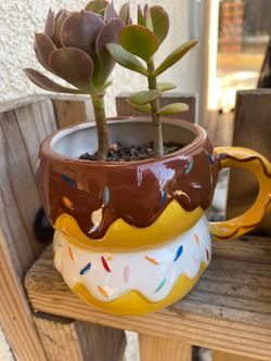 Vase y planta