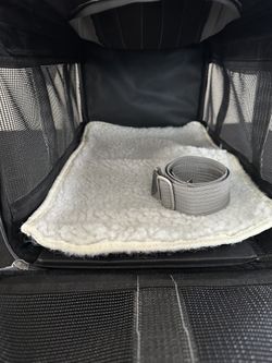 Like New Dog Carrier 