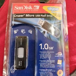San Disk 1GB Flash Drive 