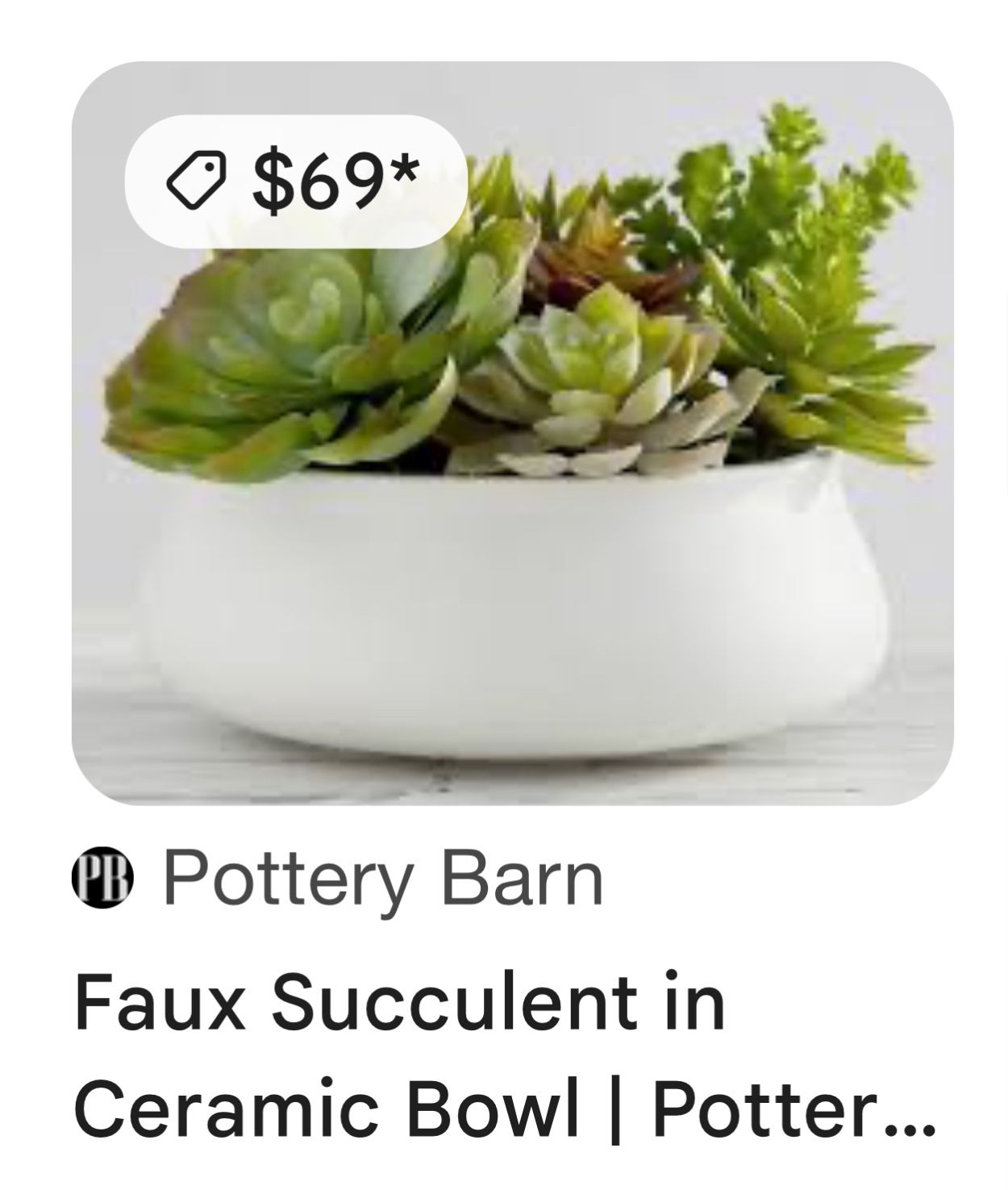 Faux Succulent In Ceramic Bowl- Pottery Barn