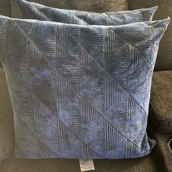 Z Gallery Pillows (2)