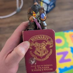 Harry Potter Figurines 