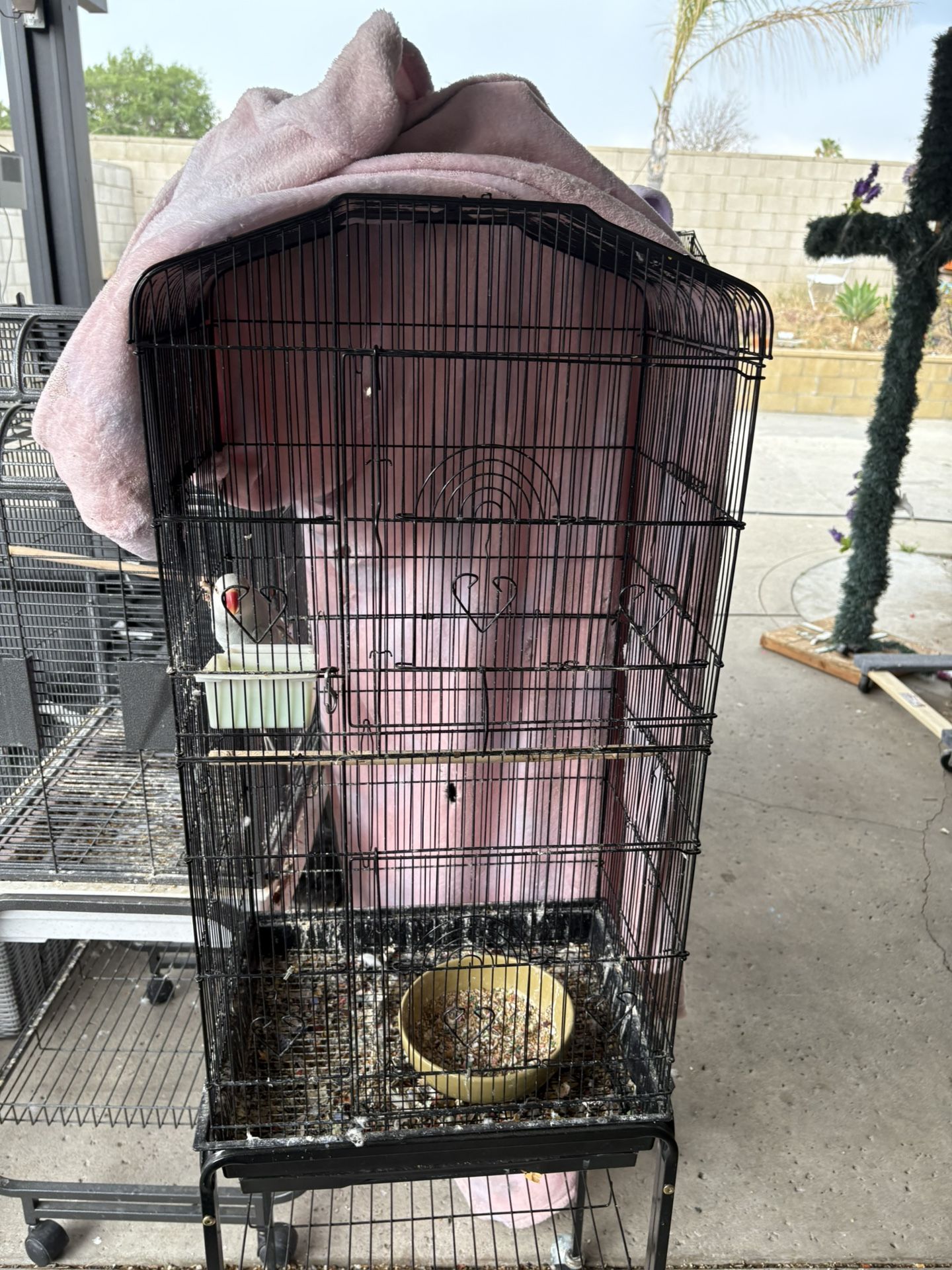 Parrot Bird Cage DM For Details