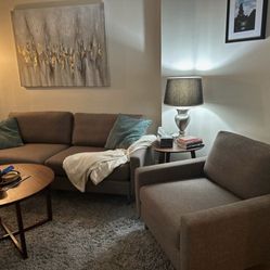 CB2 Sofa and Chair (brown/gray)