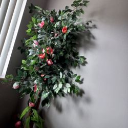 Flower For Decoration 