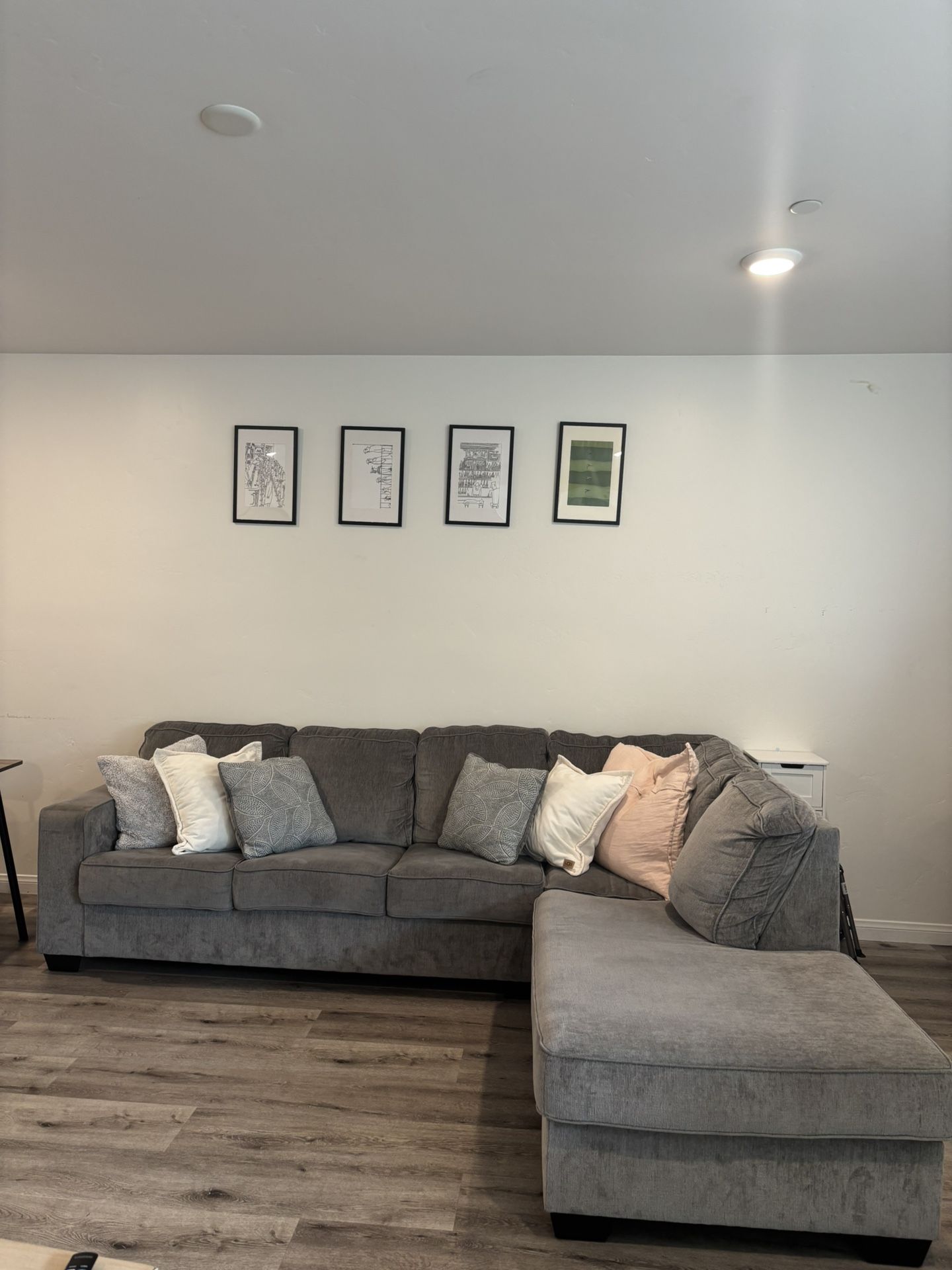 Sectional Couch