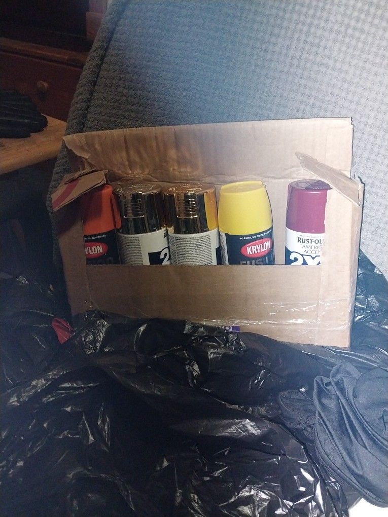Krylon Spray Paint 12oz