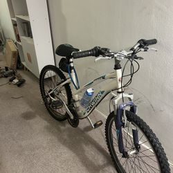 Schwinn Bike 26 In