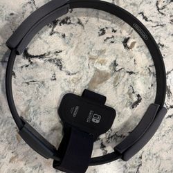 Switch ring fit adventure