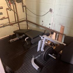 Powerline Leg Curl And Leg Extension 