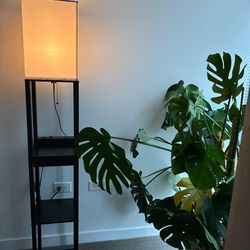 Lamp with shelves