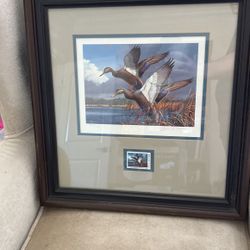 Duck Pictures