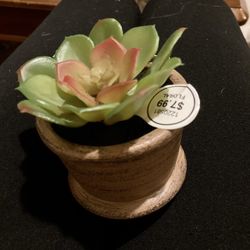 Small Artificial Succulent 