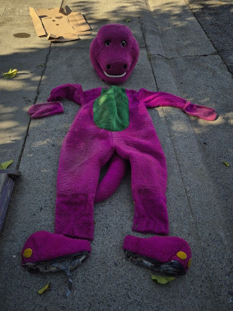 Adult Barney Costume
