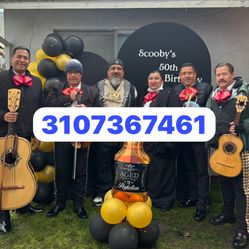 Violin Arpa De Mariachi