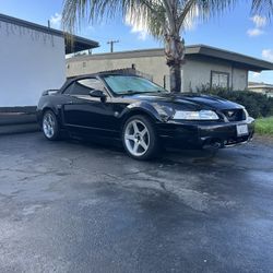 2000 Ford Mustang