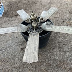 Living Room Fan.