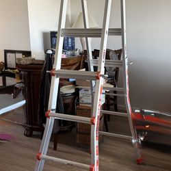 Little Giant Extension Ladder