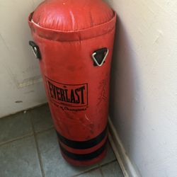 Punching Bag 