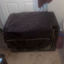 Dog Kennel