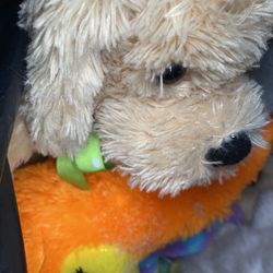 Huge bag miscellaneous stuffed animals