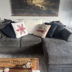 Blue/Gray Couch 