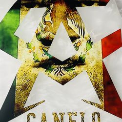 Team Canelo Boxing Shirts 