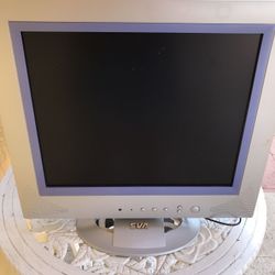 Computer Monitor