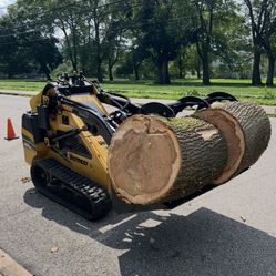 Mini Skid , Dump Trailer And Operator 