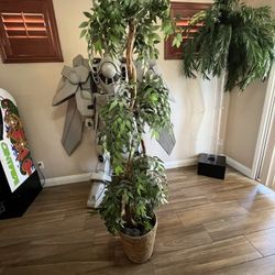 Fake House Plant 