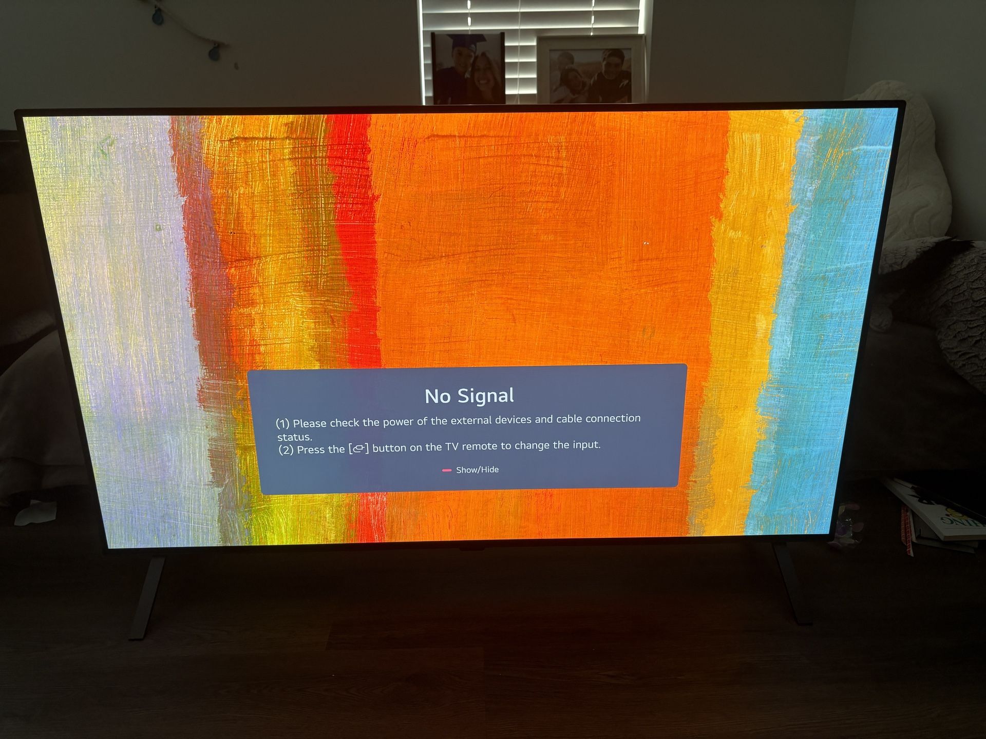 LG OLED Smart TV