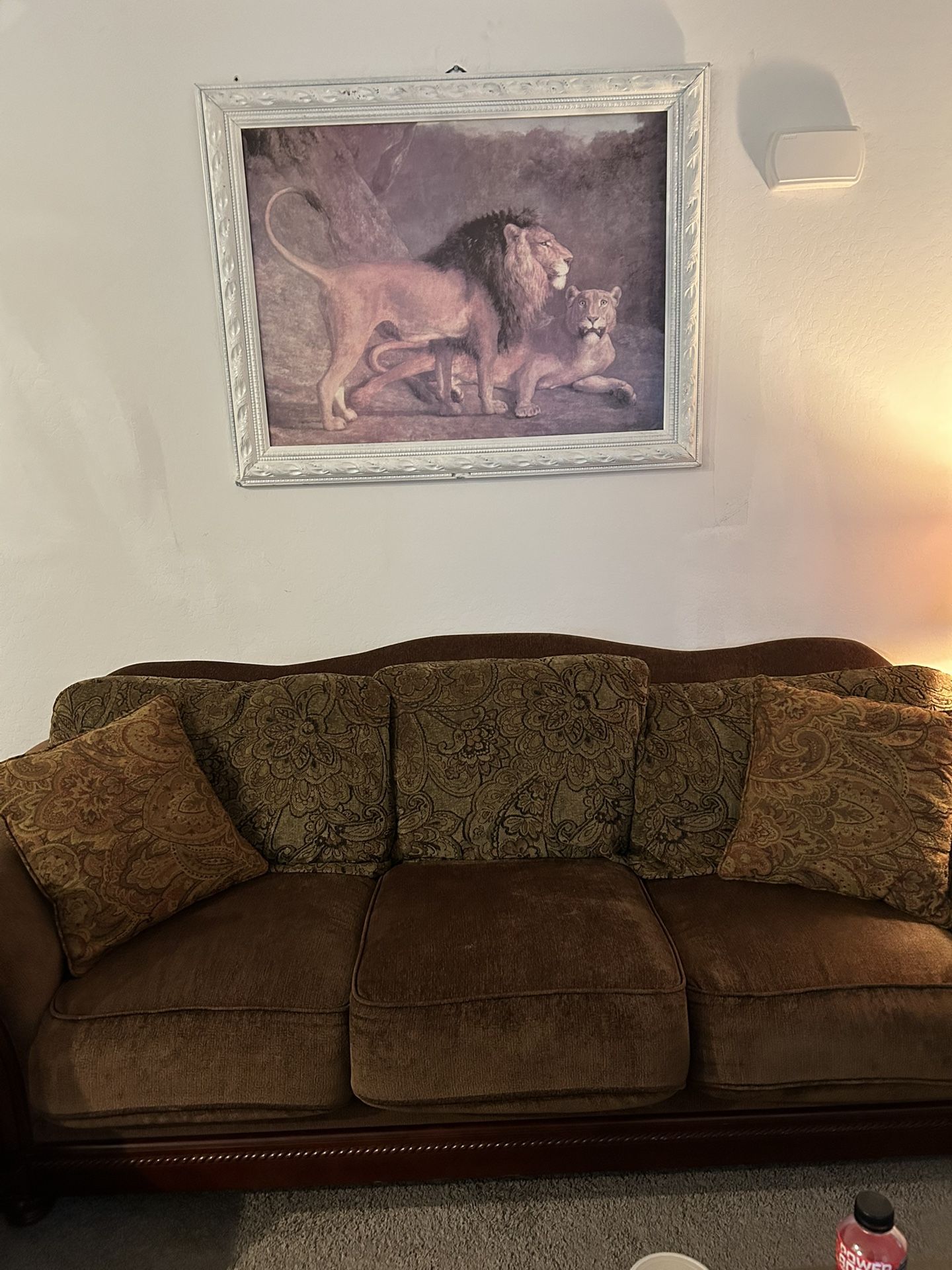 Living room couch