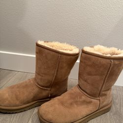 UGG Brown Boot Size 8