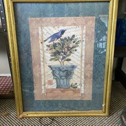 Rare/vintage/common Framed Pictures 