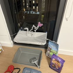 Everything a cat needs for the first time