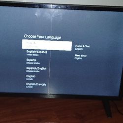 Insignia Fire TV 32"