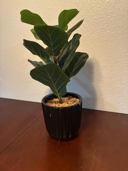 Artificial Fiddle Leaf Fig in Black Ceramic Pot