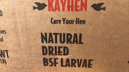 Dried larvae for hens