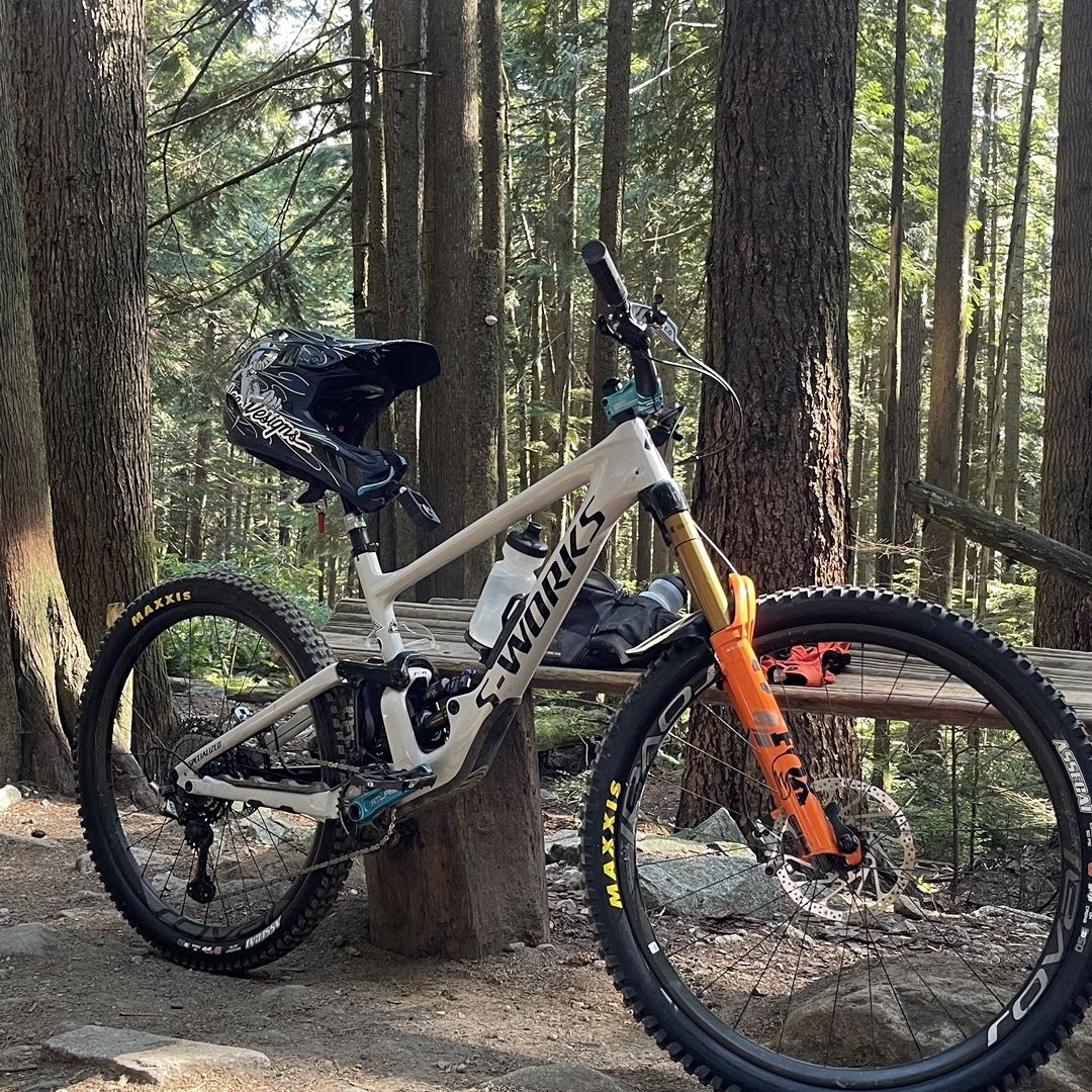 2020 S-works Enduro  Carbon