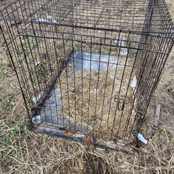 Dog Cage, And Dog Bed