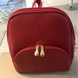 Red Backpack for $15