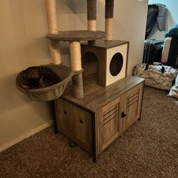 Cat Gym with Litter  Enclosure 